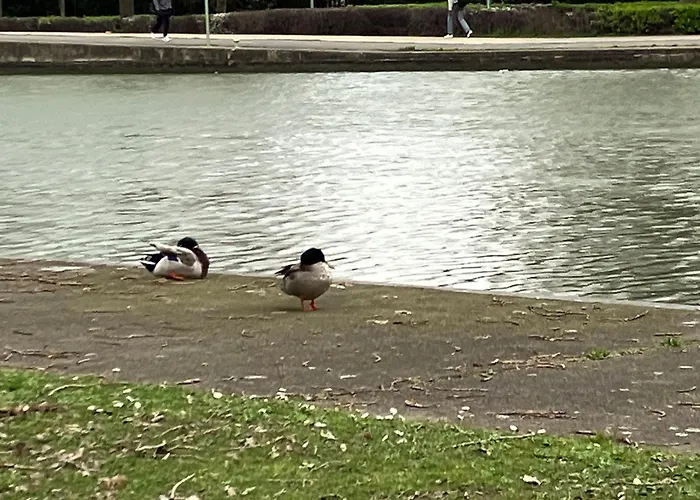 Appartement Sur Et Garage Au Stade De France A 2 Mn De Paris, 20 De Roissy Cdg Et 30 De La Defense Animaux Bienvenus
